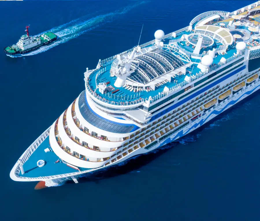 Cruise